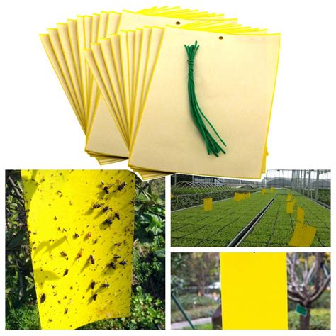 Buy Wcic 20pcs Sticky Traps Double Adhesive Insect Sticker Board