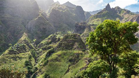 View of the Paul valley with a dragon tree Santo Antão Cabo Verde