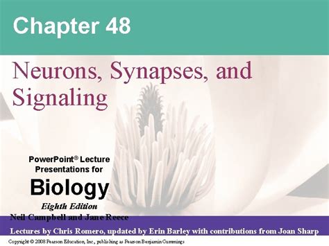 Chapter Neurons Synapses And Signaling Power Point