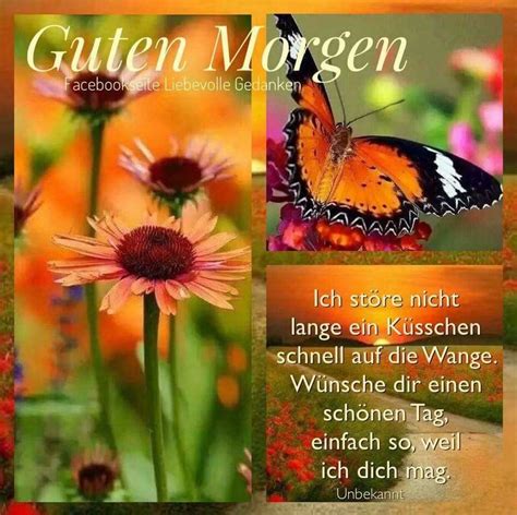 Pin Von Andreas Wendt Auf Gr Espr Che Guten Morgen Guten Morgen