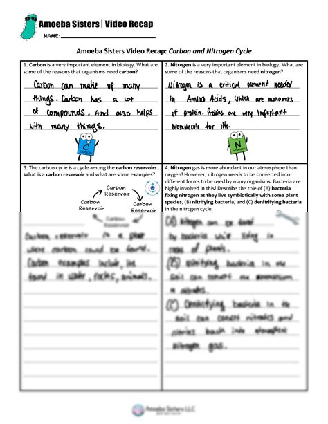 Water Carbon And Nitrogen Cycle Worksheet Colorsheet Nitroge