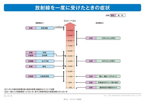 【6 3 03】放射線を一度に受けたときの症状 エネ百科｜きみと未来と。