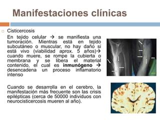 Teniasis Cisticercosis Ppt