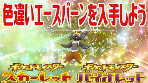 【ポケモンsv】色違いエースバーンを入手しよう 進化入手【ポケットモンスター スカーレット・バイオレット ゼロの秘宝 藍の円盤】pocket