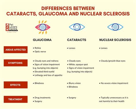 Glaucoma In Dogs Causes And Treatment Vet Advice