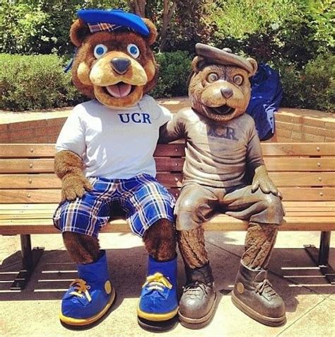 Ucr Promo Code Riverside Coding Teddy Bear