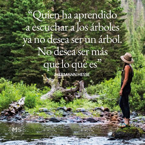 Frases Sobre Naturaleza Para Conectarnos Con Ella