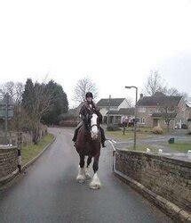 Bits And Bobs ZB Porn