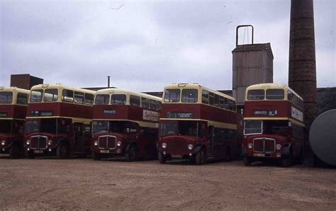 Red Rover Showbus Bus Image Gallery London Home Counties