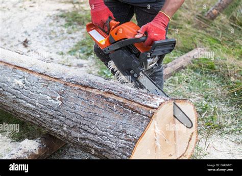 Motors Ge Im Holzf Ller H Nde Beim Schneiden Von Holzplanke Aus