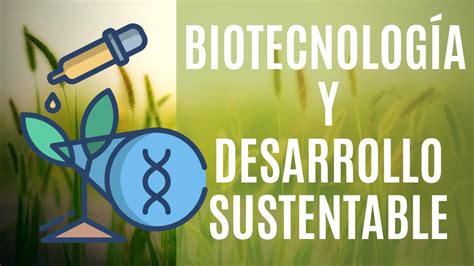 Qu Relacion Existe Entre La Biotecnolog A Y El Desarrollo Sustentable