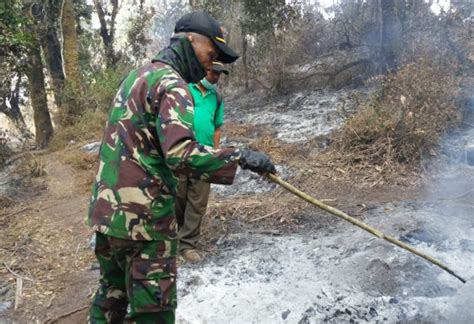 Hutan Lindung Lereng Gunung Slamet Kembali Terbakar