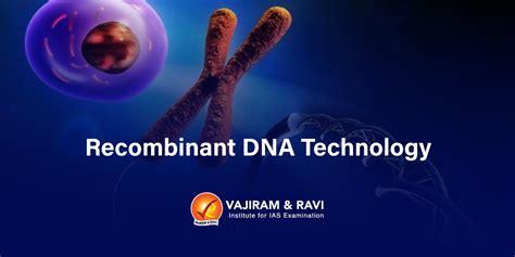 Recombinant Dna Technology Application Tools Process