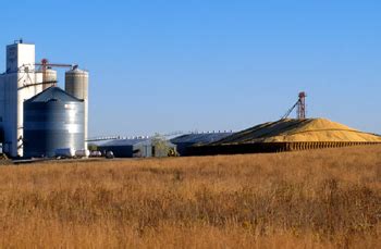 Planning for Temporary Grain Storage | CropWatch | University of ...