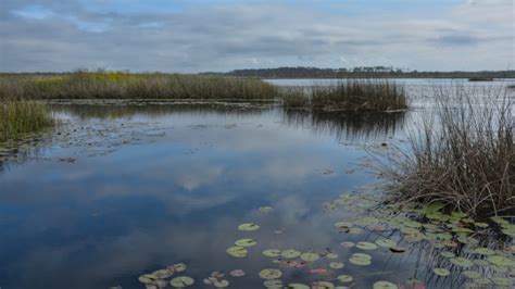 St Marks National Wildlife Refuge Florida Hikes