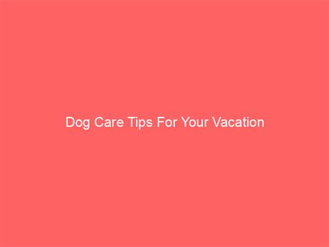 Dog Care Tips For Your Vacation When taking a vacation, be it just for ...