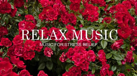 Beautiful Relaxing Piano Music Soothing Music Calm The Mind