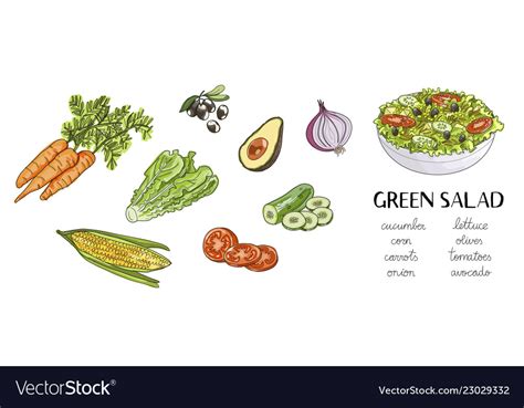 Vegetable Salad Drawing