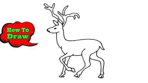 How To Draw Deer Step By Step Easy For Beginners Drawing Tutorials