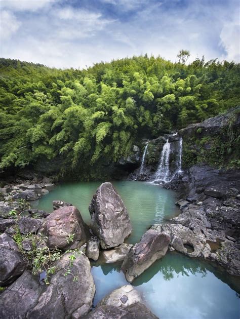 Amazon Posterazzi Hawaii Maui Bamboo Forest Also Called The Four