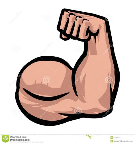 Cartoon Muscle Arm Clipart Free Download On Clipartmag