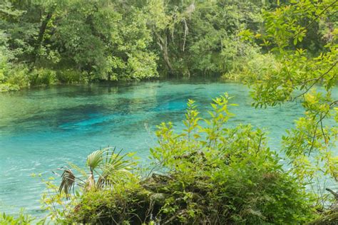 Guide To Floridas Ichetucknee Springs State Park