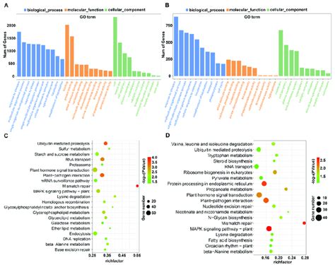 Go And Kegg Pathway Enrichment Analysis Results Of Salt Responsive