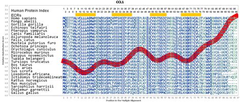 Ccl1 Gene Genecards Ccl1 Protein Ccl1 Antibody