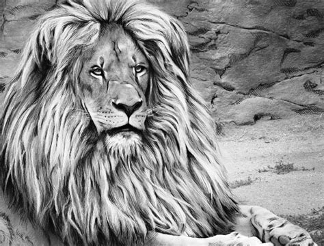 Free Printable Grayscale Coloring Pages