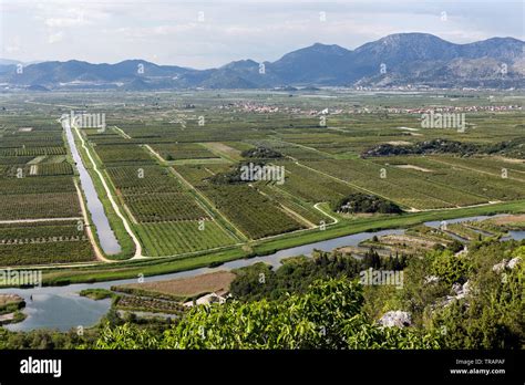 Neretva River Delta Agriculture Hi Res Stock Photography And Images Alamy