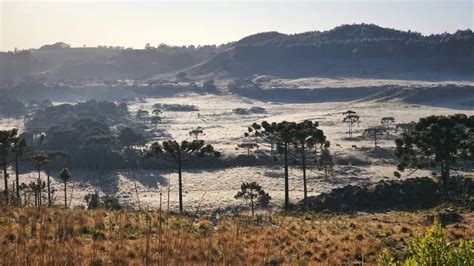 Serra de SC registra amanhecer geada e temperatura negativa Éder