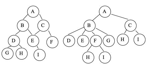 Binary Tree Data Structure