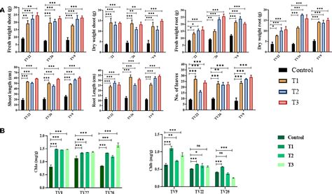 Frontiers Characterization And Selection Of Endophytic Actinobacteria