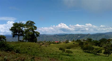 Dagua Valle Del Cauca Zona De Esclavos Pandebono Y Pi A Picoloro