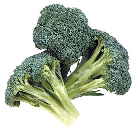 Loose Broccoli Crowns On A White Isolated Background Prepared Food