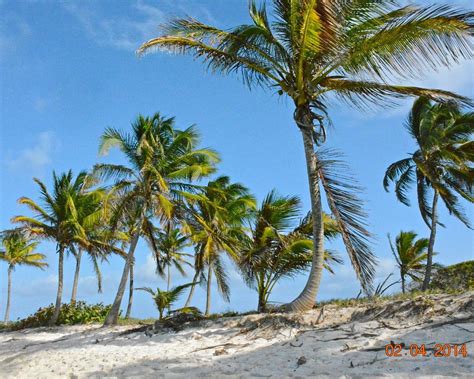 THE 15 BEST Things to Do in St. Vincent (2025) - Must-See Attractions
