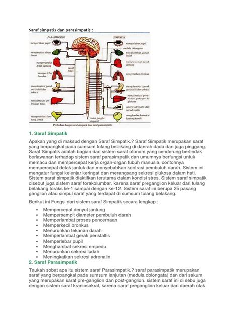 Sistem Saraf Otonom Pdf