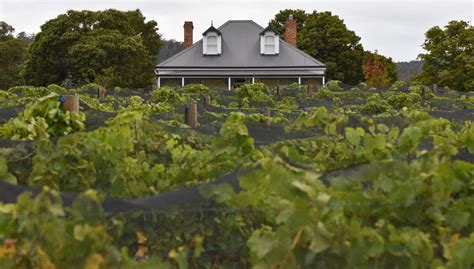 Spring In The Vines Wine Festival By Wine South Tasmania