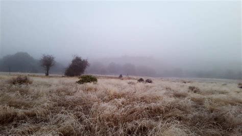 Heladas Y Bancos De Niebla En La Siberia Hoyes