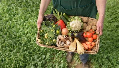 Agricultura Sostenible Definición Beneficios Importancia Objetivos