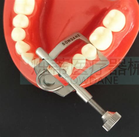 Dental Tooth Teeth Separator Wedge Retainer Teeth Posterior 1pc Ebay