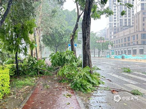 台风“杜苏芮”强势登陆 福建多地大树倾倒 天气图集 中国天气网