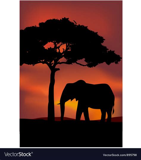 African Sunset Elephant | HD Wallpapers Gallery