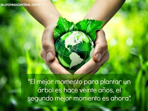 Frases Para Cuidar El Medio Ambiente