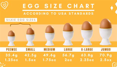 A Complete Guide To Silkie Chicken Eggs Silkie Chicken Experts