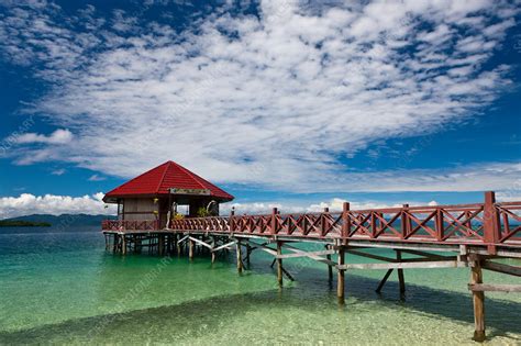 Impressions of Ahe Island - Stock Image - C031/8448 - Science Photo Library