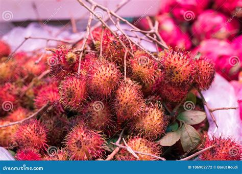 Rambutan Nephelium Lappaceum Stock Photo Image Of Agriculture