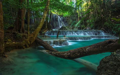 Tropical Rainforest Waterfalls Background