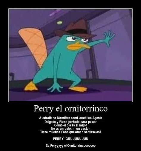 Imagenes Con Frases De Perry El Ornitorrinco Imagui