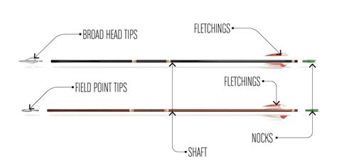 Best Archery Arrows Reviews 2024 With Buying Guide Boss Targets